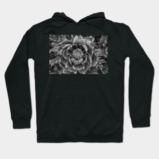 Peony In Black And White Hoodie